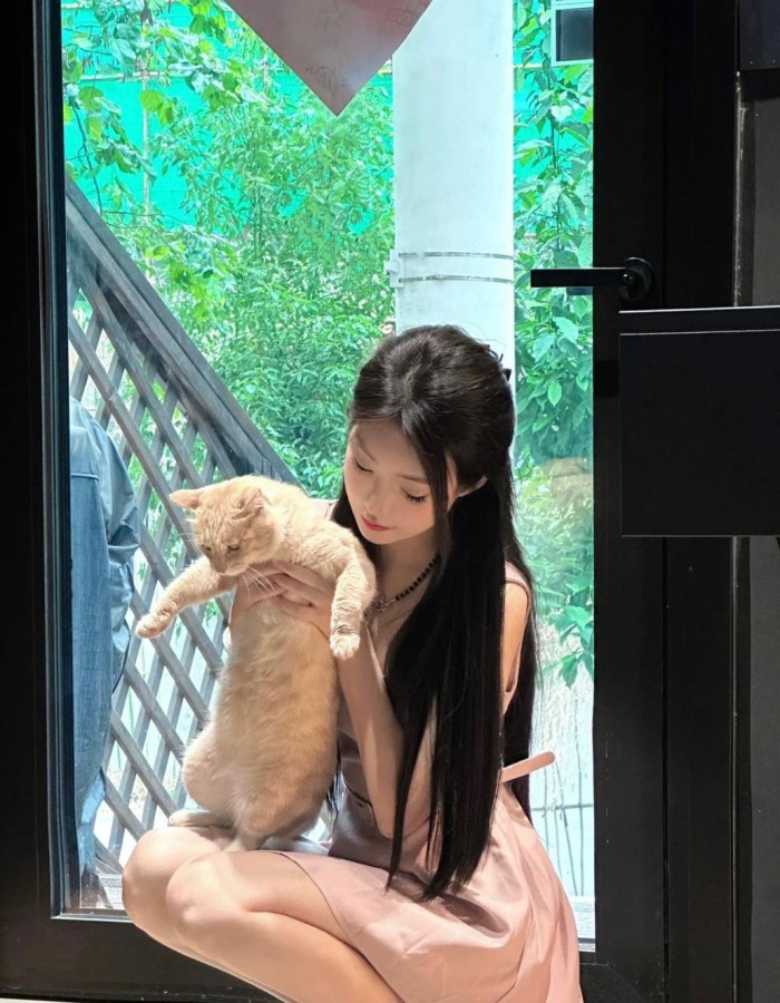 三亚老牛影院在线观看,免费高清电影在线观看